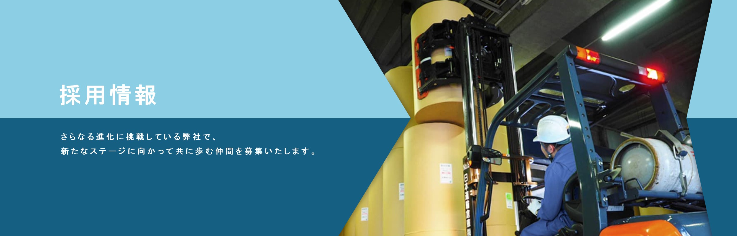 採用情報